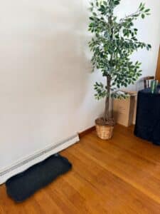 FDD7DE5A-E303-43A6-B85B-9A8459CC2399-1