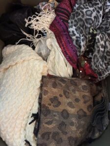 019d9261-49f2-7aa8-9b0a-2051b505ce5c