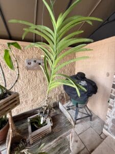 IMG_6170