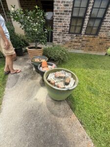 IMG_6201