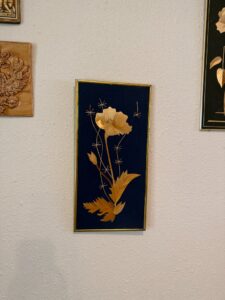 IMG_6559