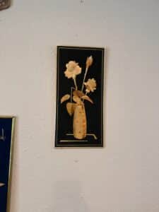 IMG_6560
