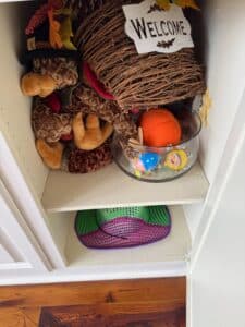 18-closet-shelf-view-2