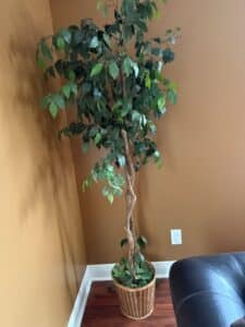 Artificial-Ficus-Tree