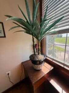 Artificial-Yucca-Plant