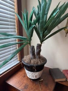 Faux-Yucca-Plant