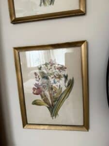 Floral-Botanical-Print