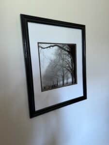 Foggy-Trees-Photograph