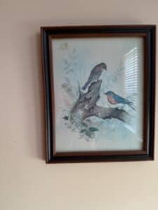 Massa-Bluebird-Print