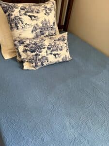 Toile-Throw-Pillows