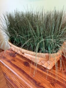 Wicker-Basket-Grass
