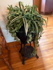 Wicker-Plant-Stand
