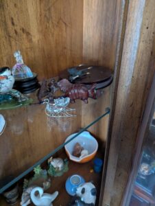 IMG_8837