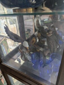 IMG_8860