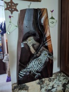 IMG_8941