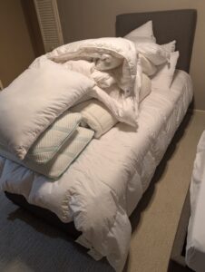 IMG_0381