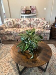 79442519160__6643876D-189C-4D53-9ECE-B597E15F6B9E