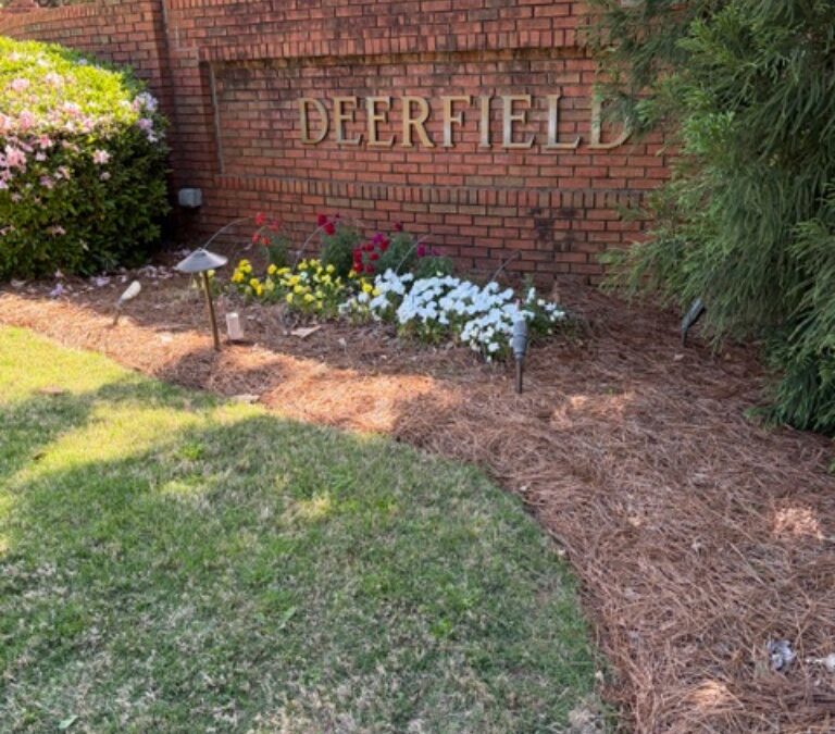 Treasure Hunt in Sandy Springs – PRICED TO SELL!