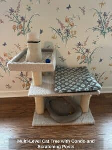 Multi-Level-Cat-Tree-with-Condo-and-Scratching-Posts-second-image