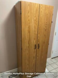 Sauder-HomePlus-Storage-Cabinet-in-Sienna-Oak