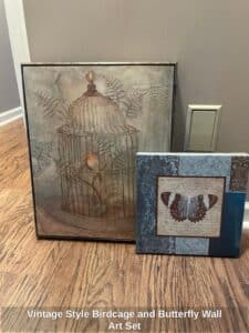 Vintage-Style-Birdcage-and-Butterfly-Wall-Art-Set