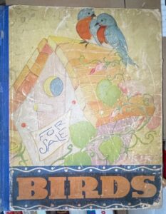 Birds-A-Childrens-Book-by-Fern-Bisel-Peat