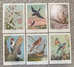 Vintage-Bird-Illustrations