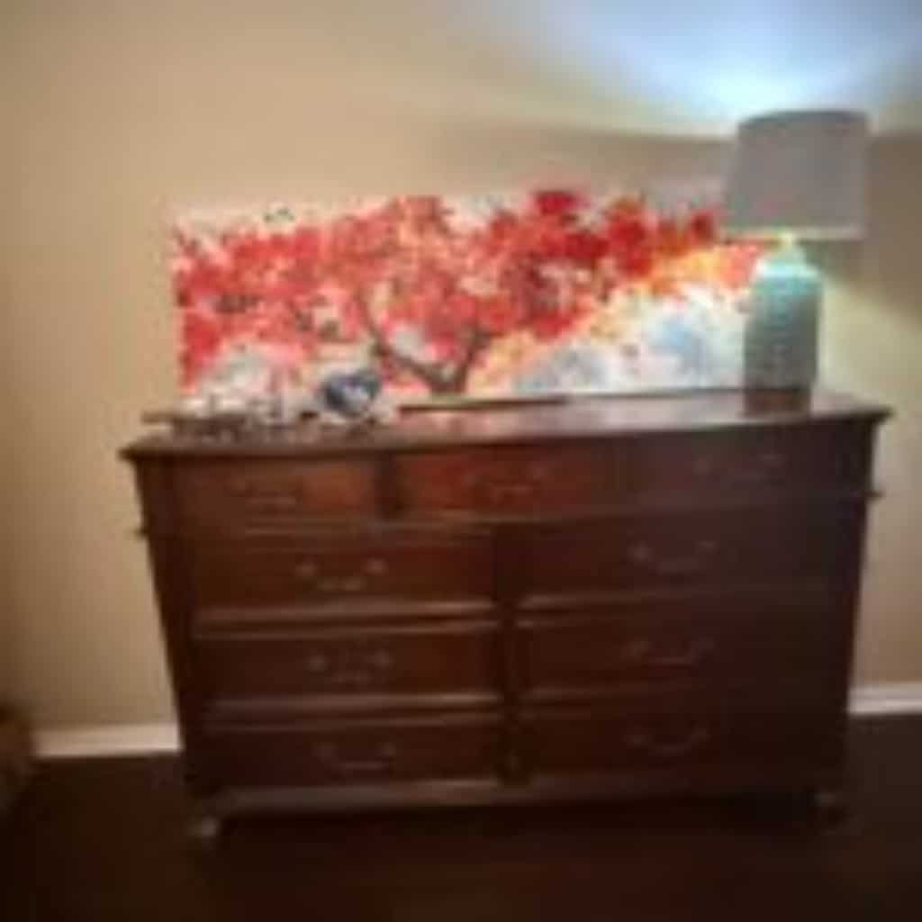 Blue Moon Estate Sale – 1960 and I45!