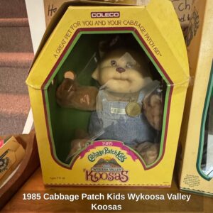 Cabbage-Patch-Kids-Wykoosa-Valley-Koosas-1