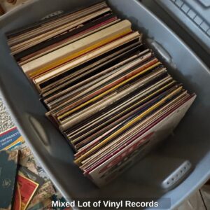 Mixed-Lot-of-Vinyl-Records