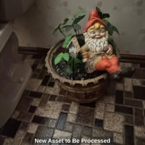 New-Asset-to-Be-Processed-B-1