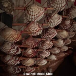 Seashell-Model-Ship-second-image-1