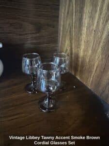 Vintage-Libbey-Tawny-Accent-Smoke-Brown-Cordial-Glasses-Set-1