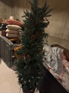 19-Feb-11-2026-03_40pm-3TPx