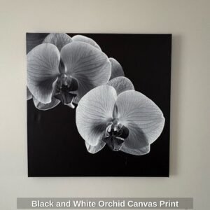 Black-and-White-Orchid-Canvas-Print
