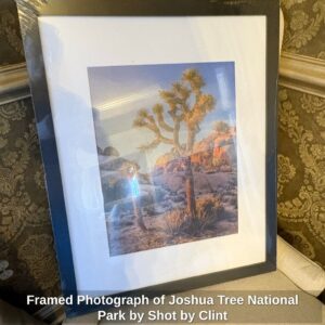 Framed-Photograph-of-Joshua-Tree-National-Park-by-Shot-by-Clint-2