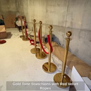Gold-Tone-Stanchions-with-Red-Velvet-Ropes