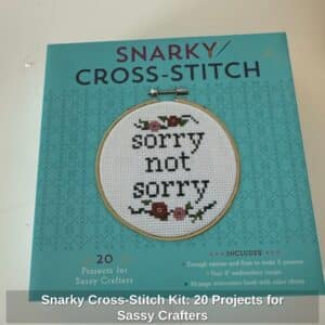 Snarky-Cross-Stitch-Kit-Projects-for-Sassy-Crafters