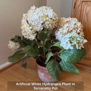 Artificial-White-Hydrangea-Plant-in-Terracotta-Pot