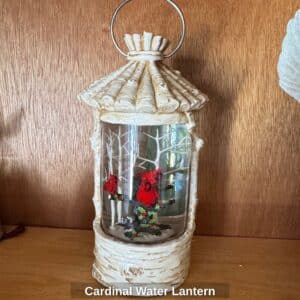 Cardinal-Water-Lantern