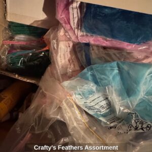Craftys-Feathers-Assortment-1