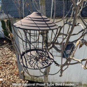 Metal-Squirrel-Proof-Tube-Bird-Feeder-1
