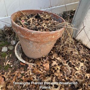 Terracotta-Planter-Pot-with-Weathered-Patina-1