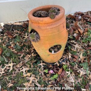 Terracotta-Strawberry-Pot-Planter-1