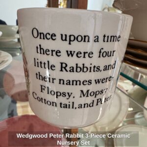 Wedgwood-Peter-Rabbit-Piece-Ceramic-Nursery-Set-second-image