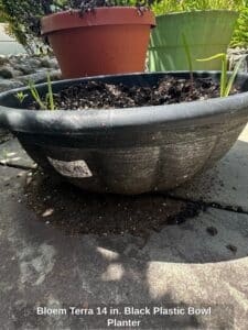 Bloem-Terra-in.-Black-Plastic-Bowl-Planter
