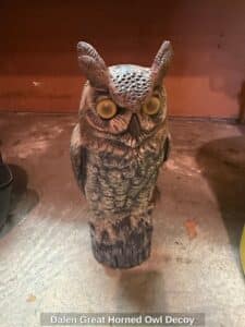 Dalen-Great-Horned-Owl-Decoy