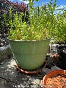 Large-Green-Plastic-Planter-Pot