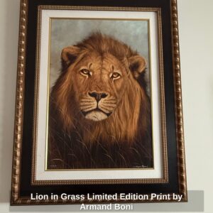 Lion-in-Grass-Limited-Edition-Print-by-Armand-Boni