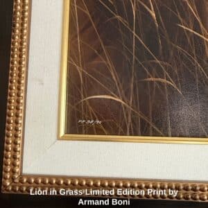 Lion-in-Grass-Limited-Edition-Print-by-Armand-Boni-second-image